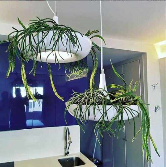 Apartamento Por Temporada Centro Diseno *