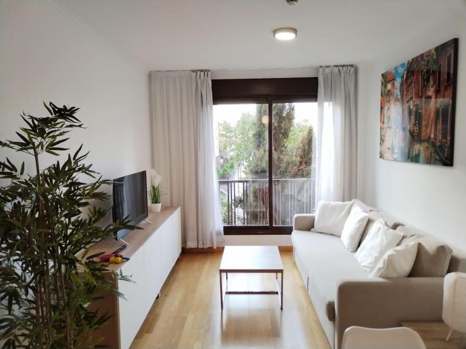 Amplio, Luminoso Y Confortable Cc