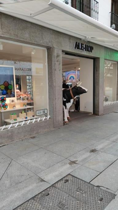 Muy Silencioso Callao/sol Apartamento Completo *