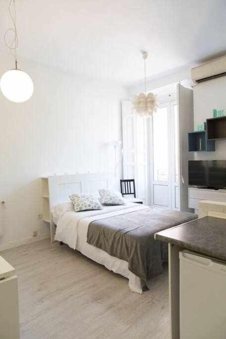 Un Fascinante Estudio En Centro Apartment