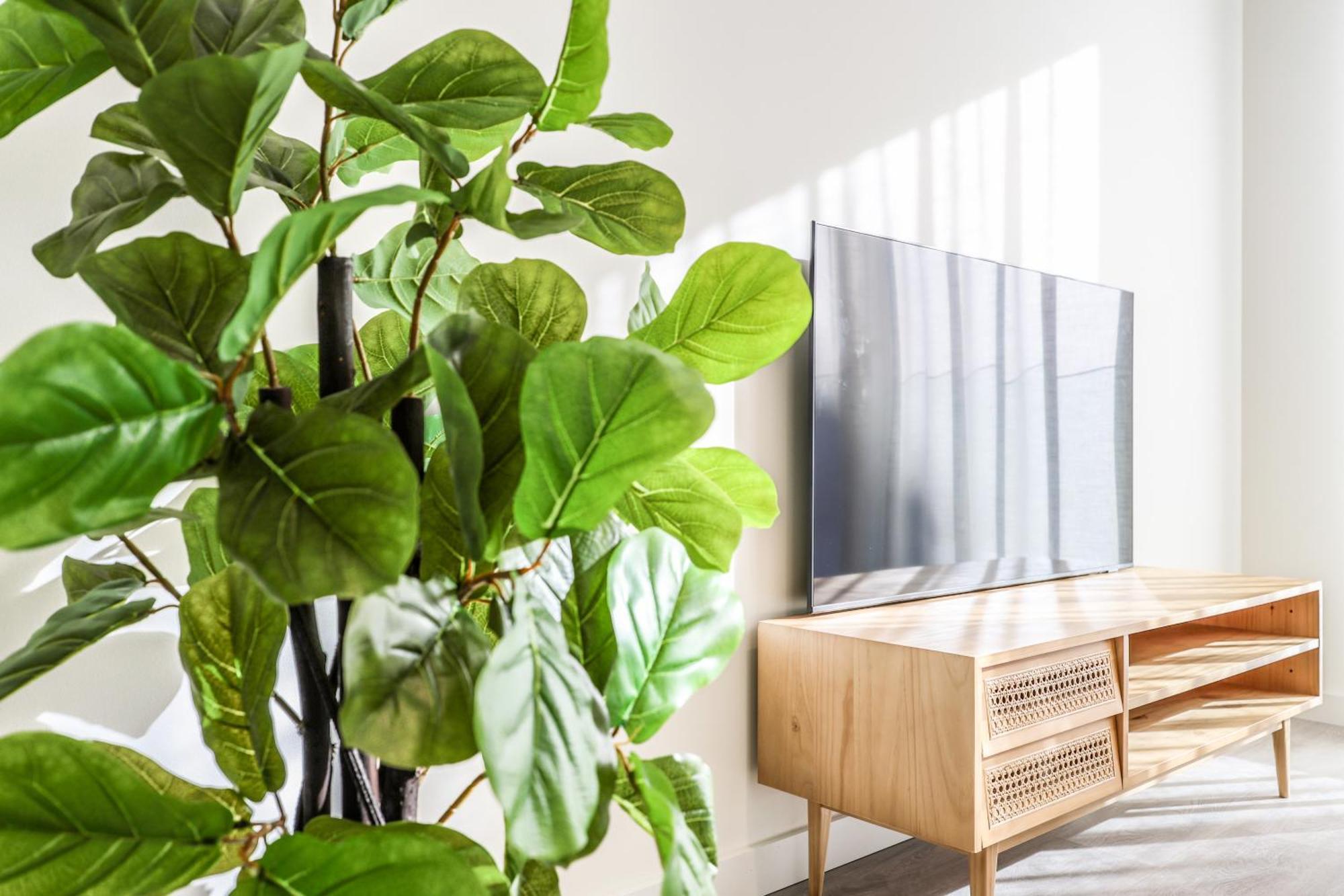 Atyco Apartamento *