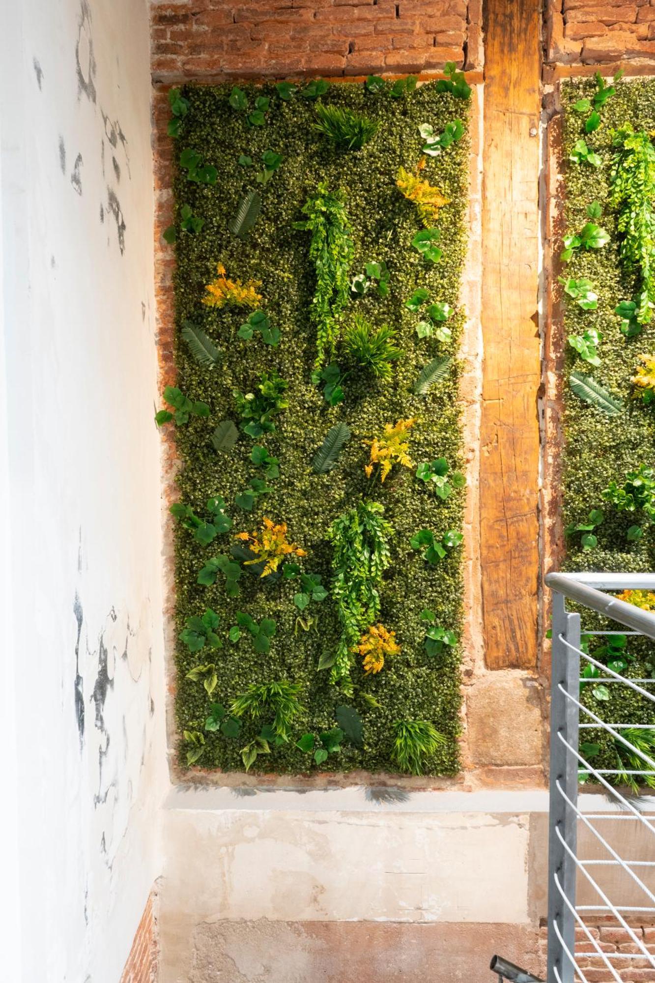 Xolo Host Hostal Madrid