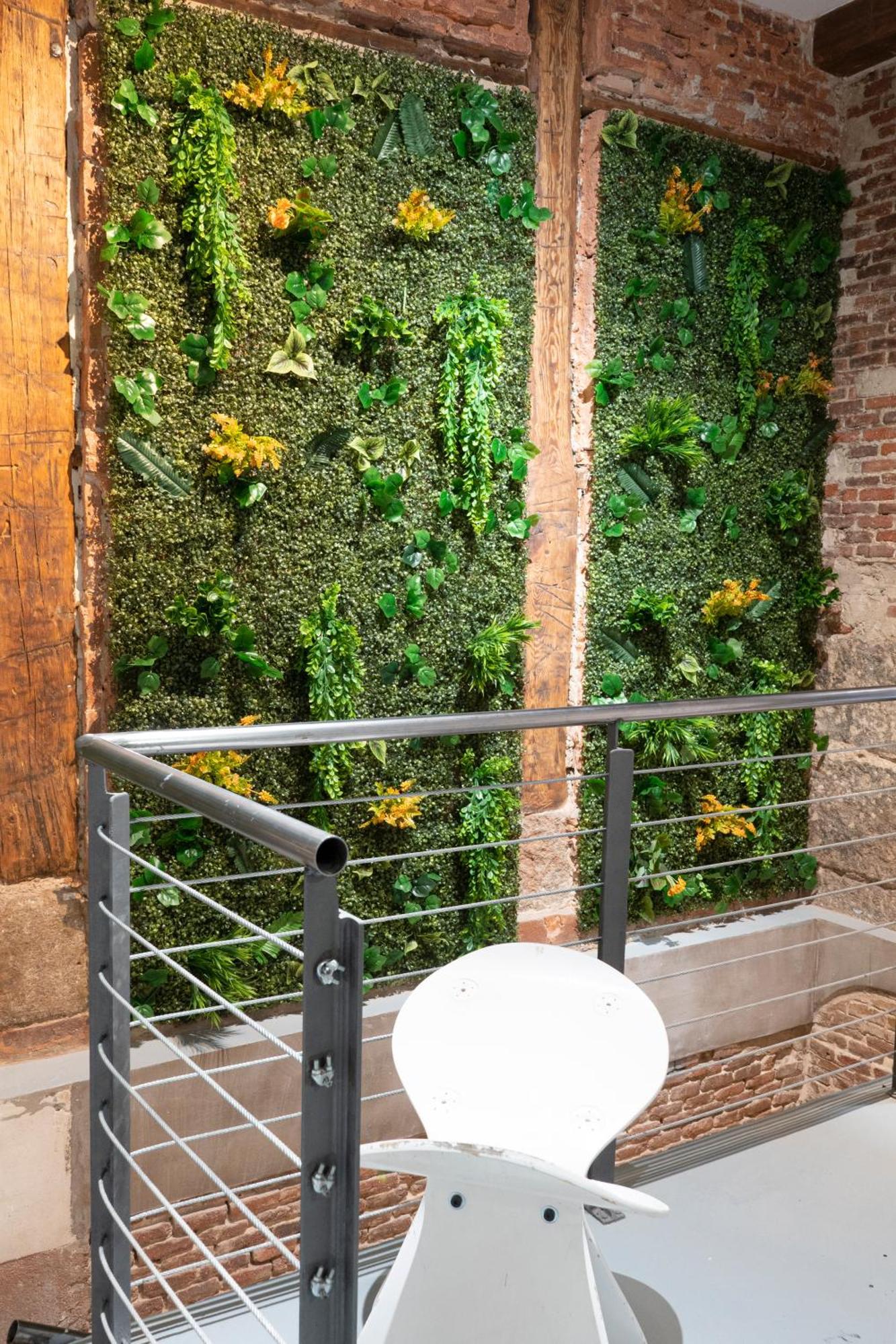 Hostal Xolo Host *