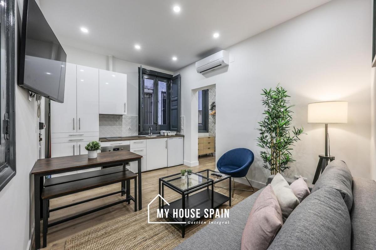 Myhousespain - Nuevo Piso Reformado En Lavapies Madri