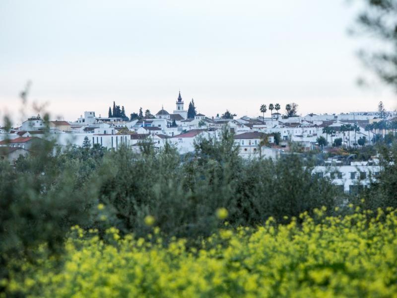 La Casa De Marife, A 15