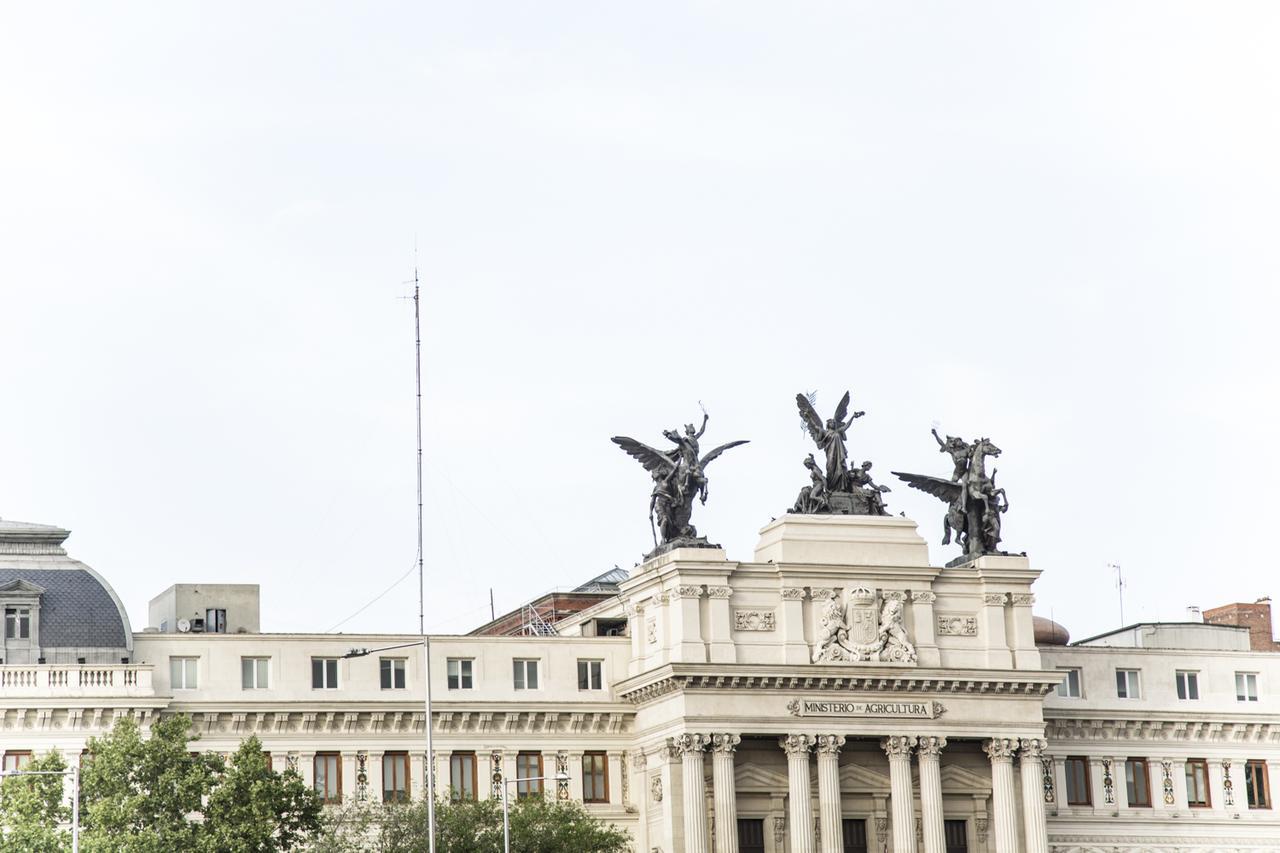 Solfai Vacacional 8