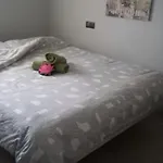Nuevo alojamiento