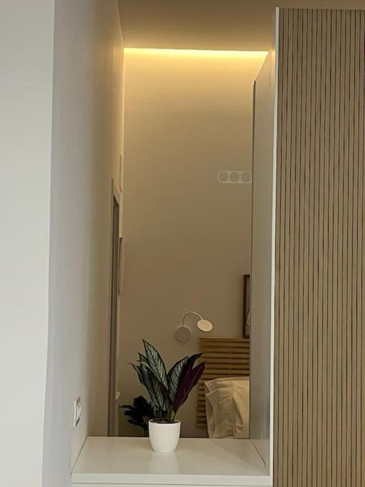 Apartamento Acogedor Y Conveniente Piso Reformado En Salamanca