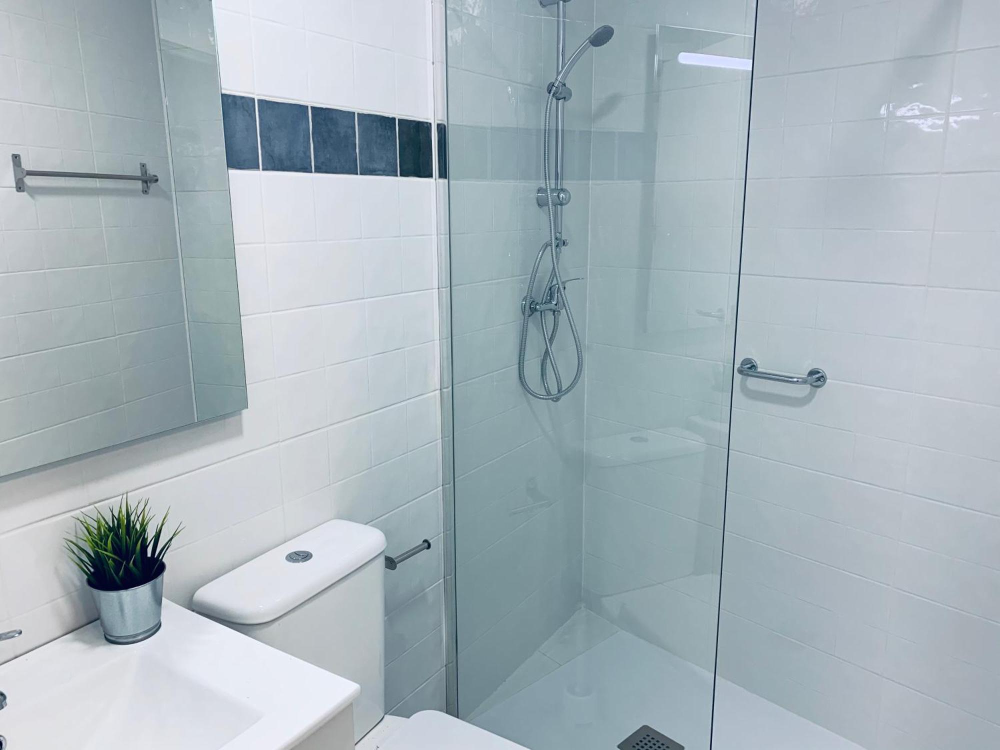 Nuevos Duplex Principe Vergara Madrid