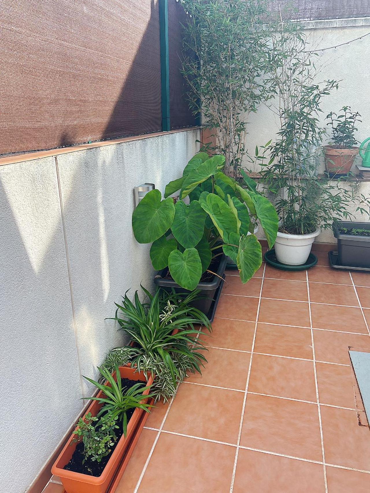 De Hébergement de vacances
