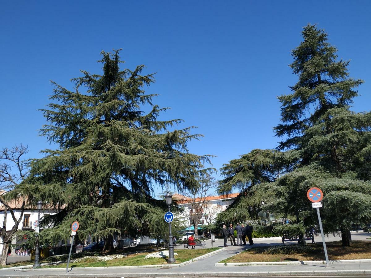 Apartamento Deluxe Barajas Madri