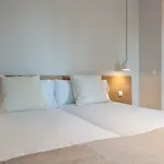 Mh Apartments Central Madrid