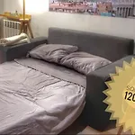 La Morada Del Gato Con Estilo Y Carisma