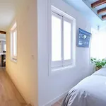 ºpy Historical Citycentre Wifi Ac Smarttvº