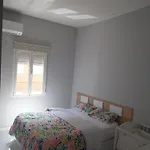 La Iniciativa 2: La Luz Y El Camino
