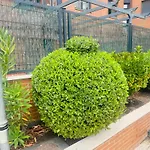 Apartamentos Aeropuerto Juan