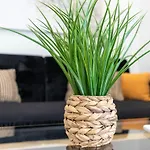 Artbel Rentals En Ventas-Elfo