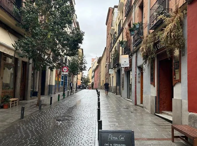 Calle Pelayo - Apartamento En Chueca