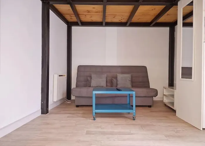 Mediodia Chica Apartamento Tipo Loft En La Latina