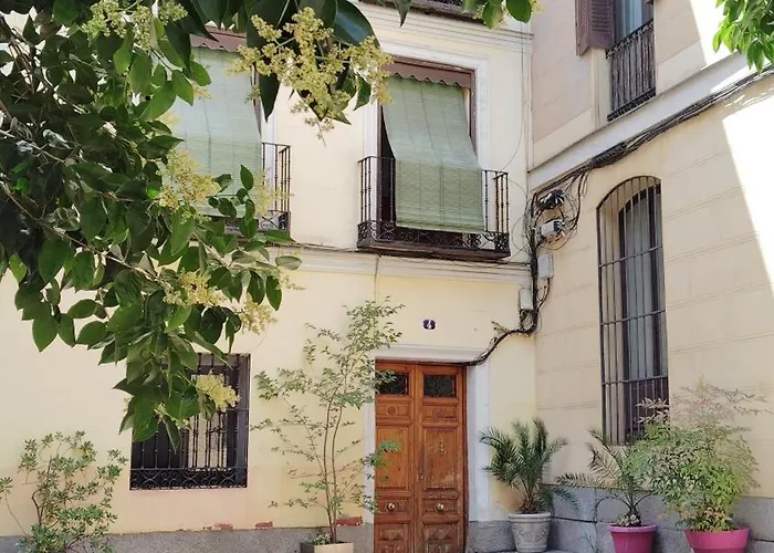Centrico Apartamento Con Patio