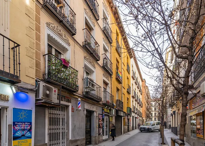 Centric- 1Bd 1Bth Furnished - Chueca