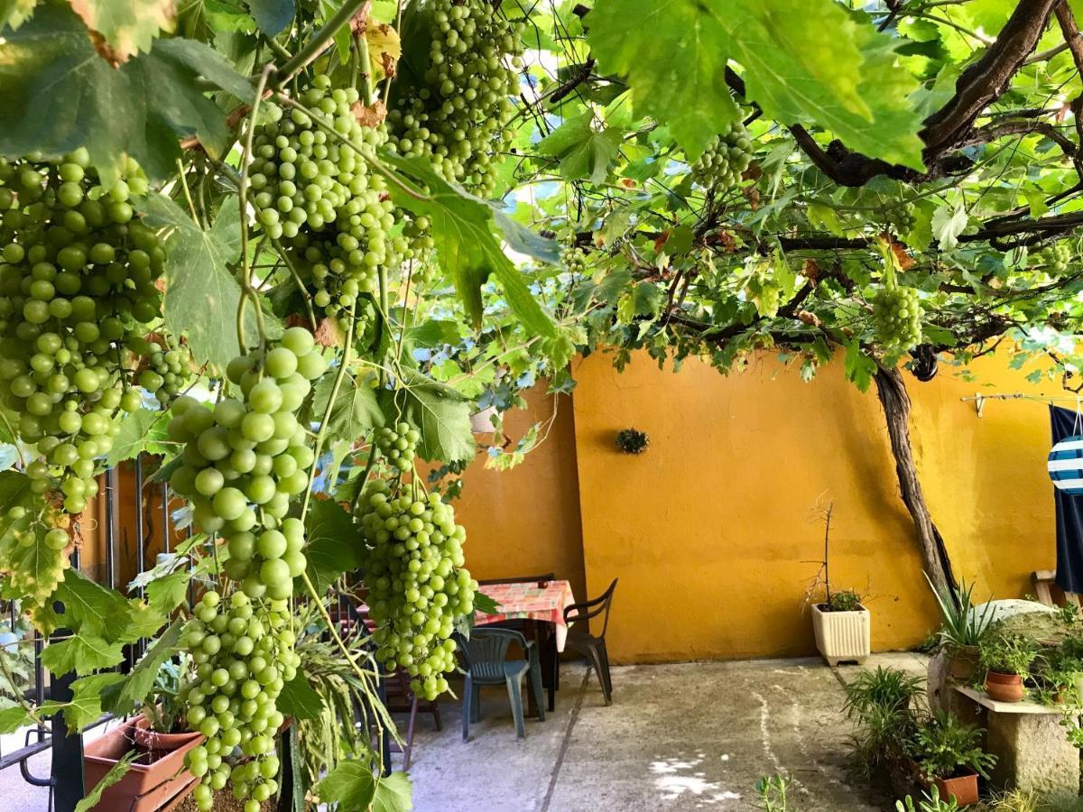 Olivar Apartamento