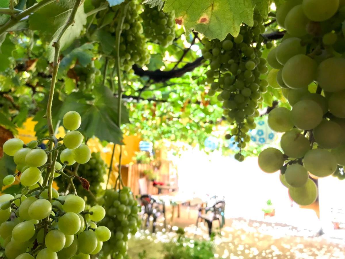 Olivar * Madrid