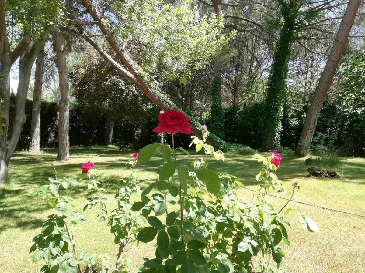 Bed and breakfast Eagle Club *