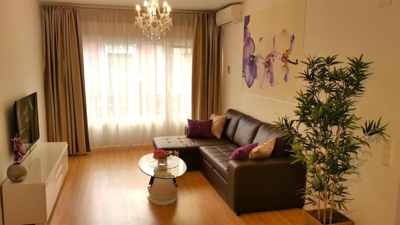 Apartamento Palacio