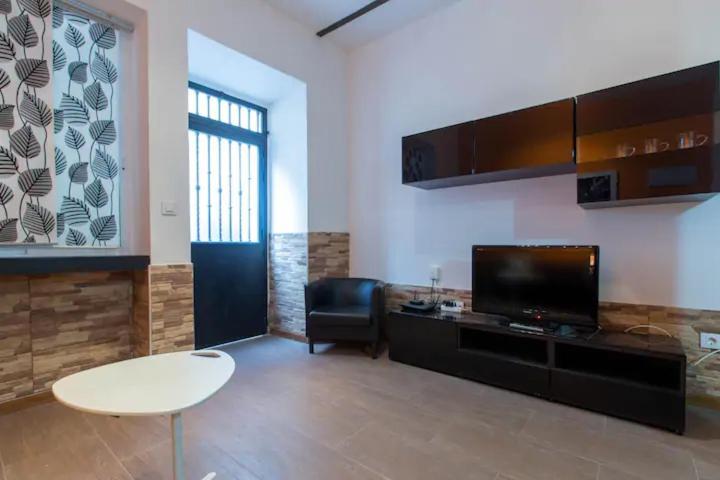 Z45 Loft Con Wifi En El Centro Madrid