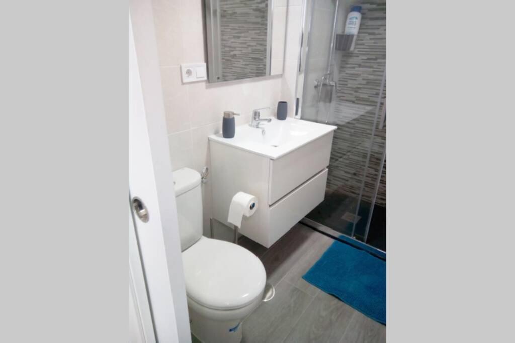 Sc- Loft Con Aire Acondicionado Y Wifi En Apartamento Madrid