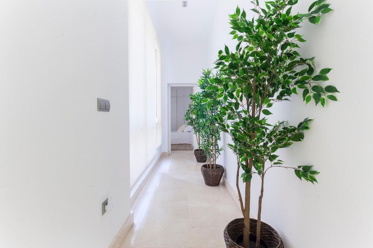 Echegaray En Appartement