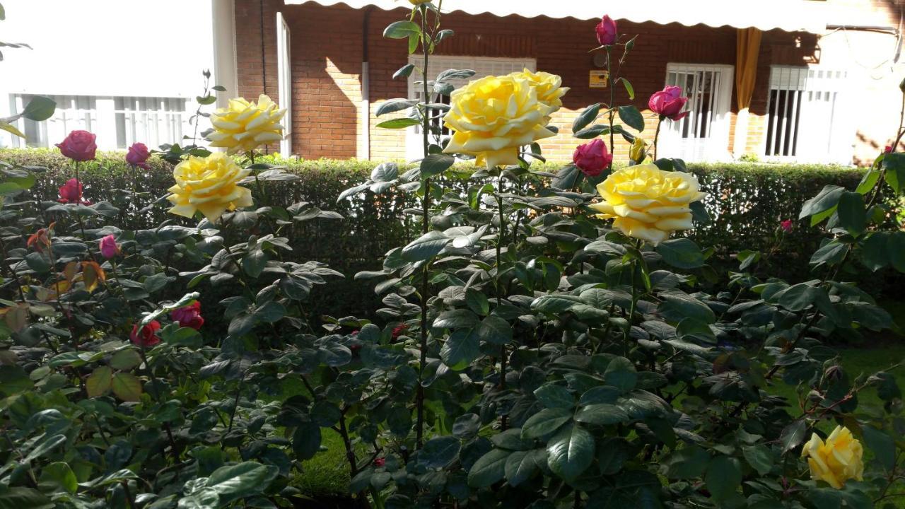 Casa Sara Homestay