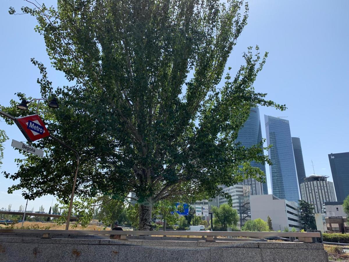 4torres Homes - Sofia Madrid