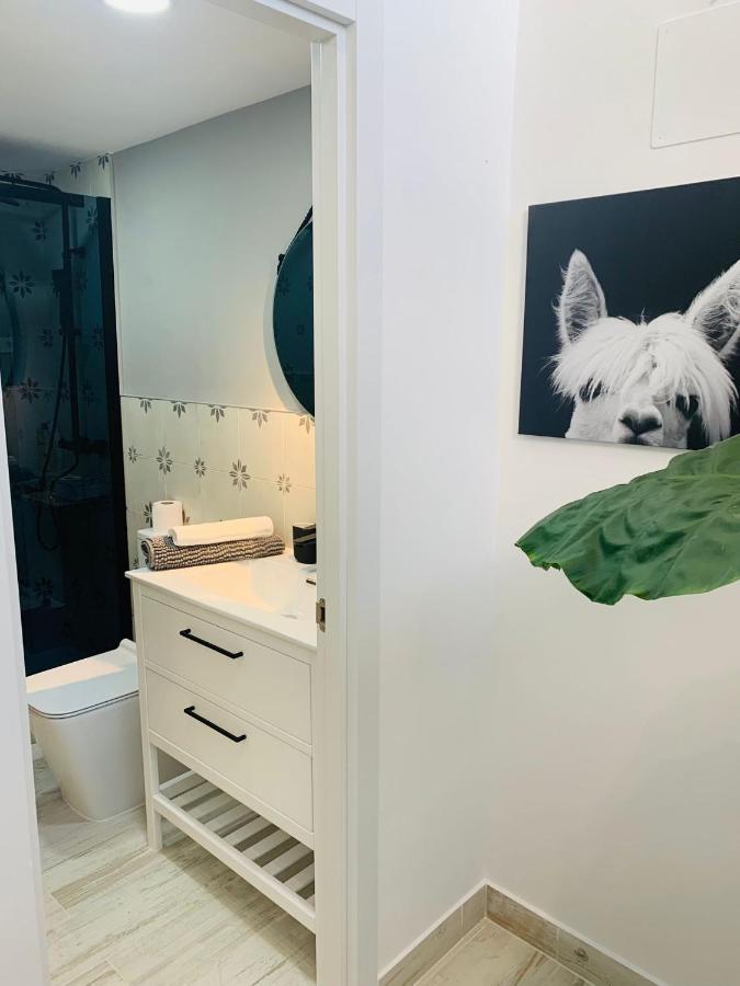 Coco Homes * Madrid