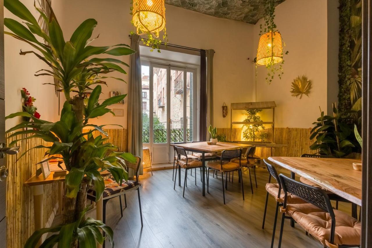 Social - Kitchen - Appartement