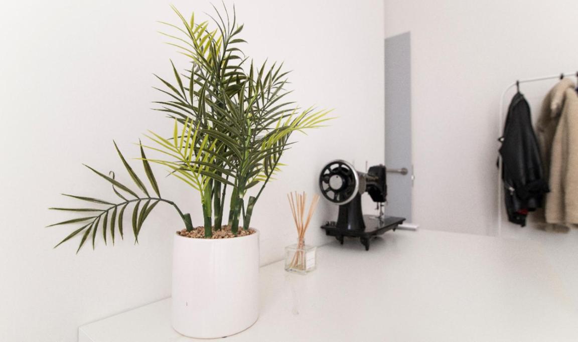 Apartment Minty - Velarde