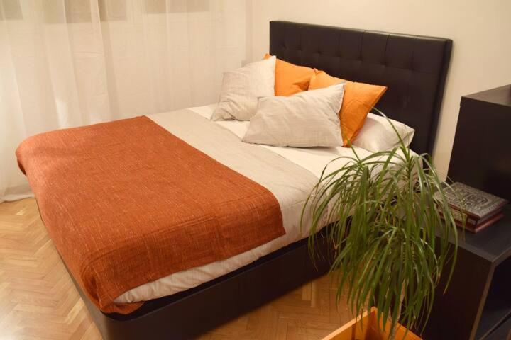 Estudio Acogedor Y Luminoso Apartment