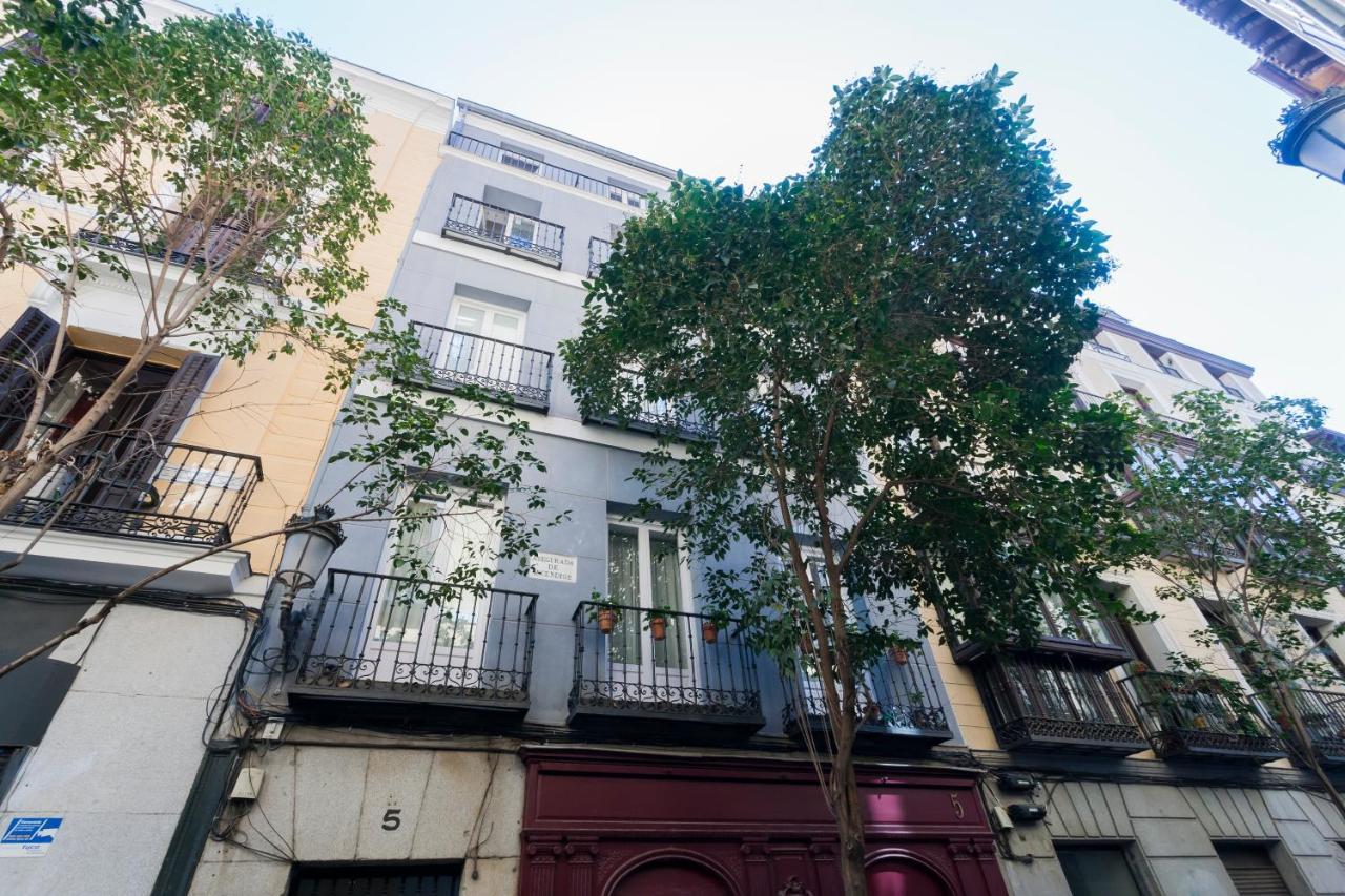 Dobo Homes Relatores 4 Madrid