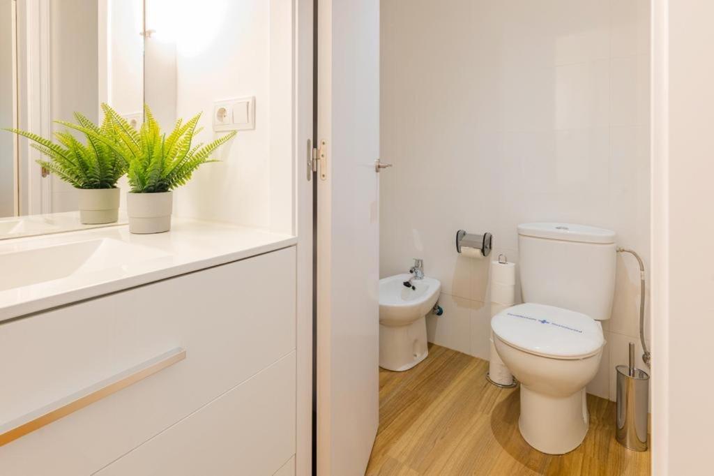 Apartamento Loft New