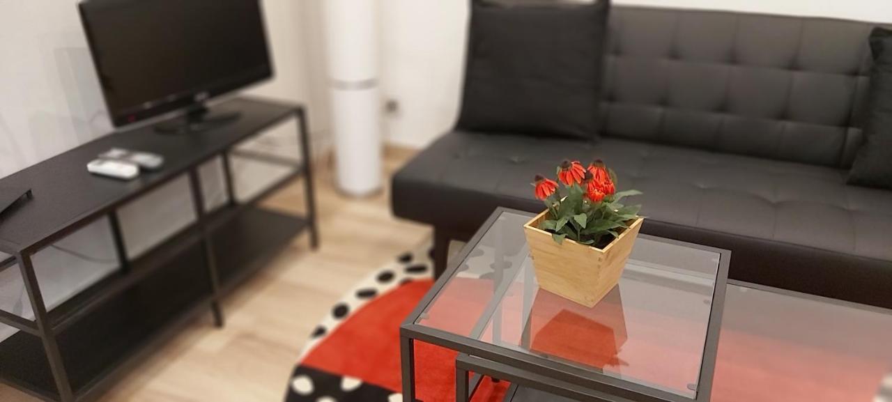 Apartamento Homenfun Puerta Del Sol Madrid