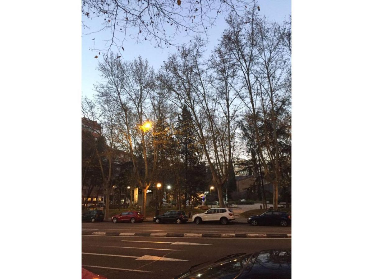 Views * Madri