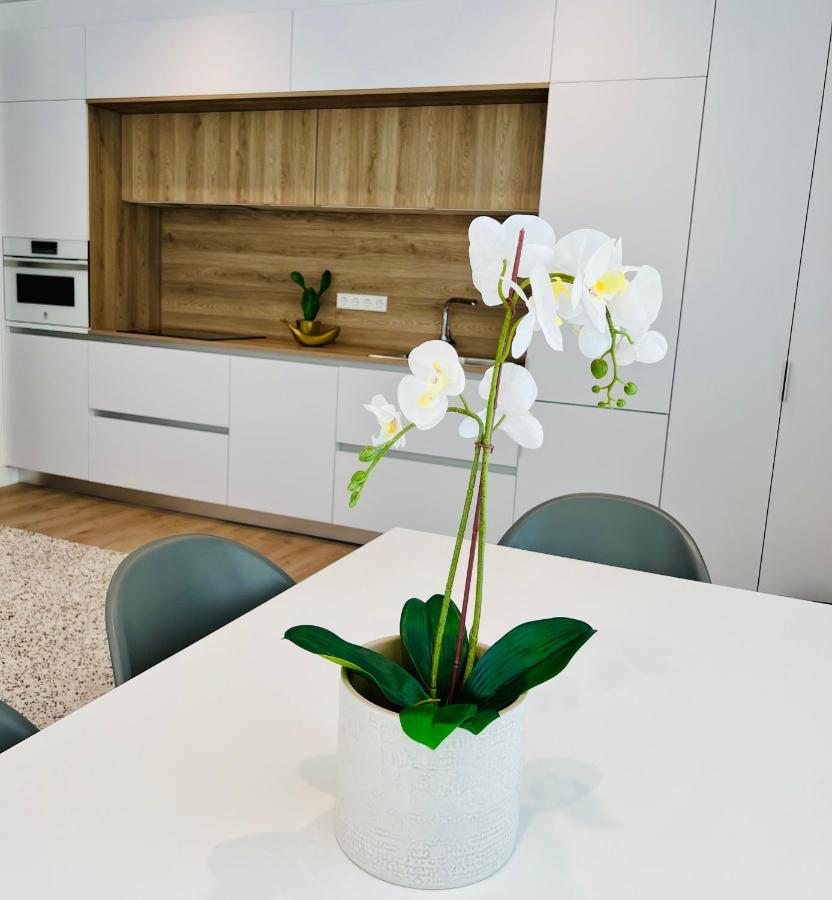 Loft Near Real Stadium * Madrid