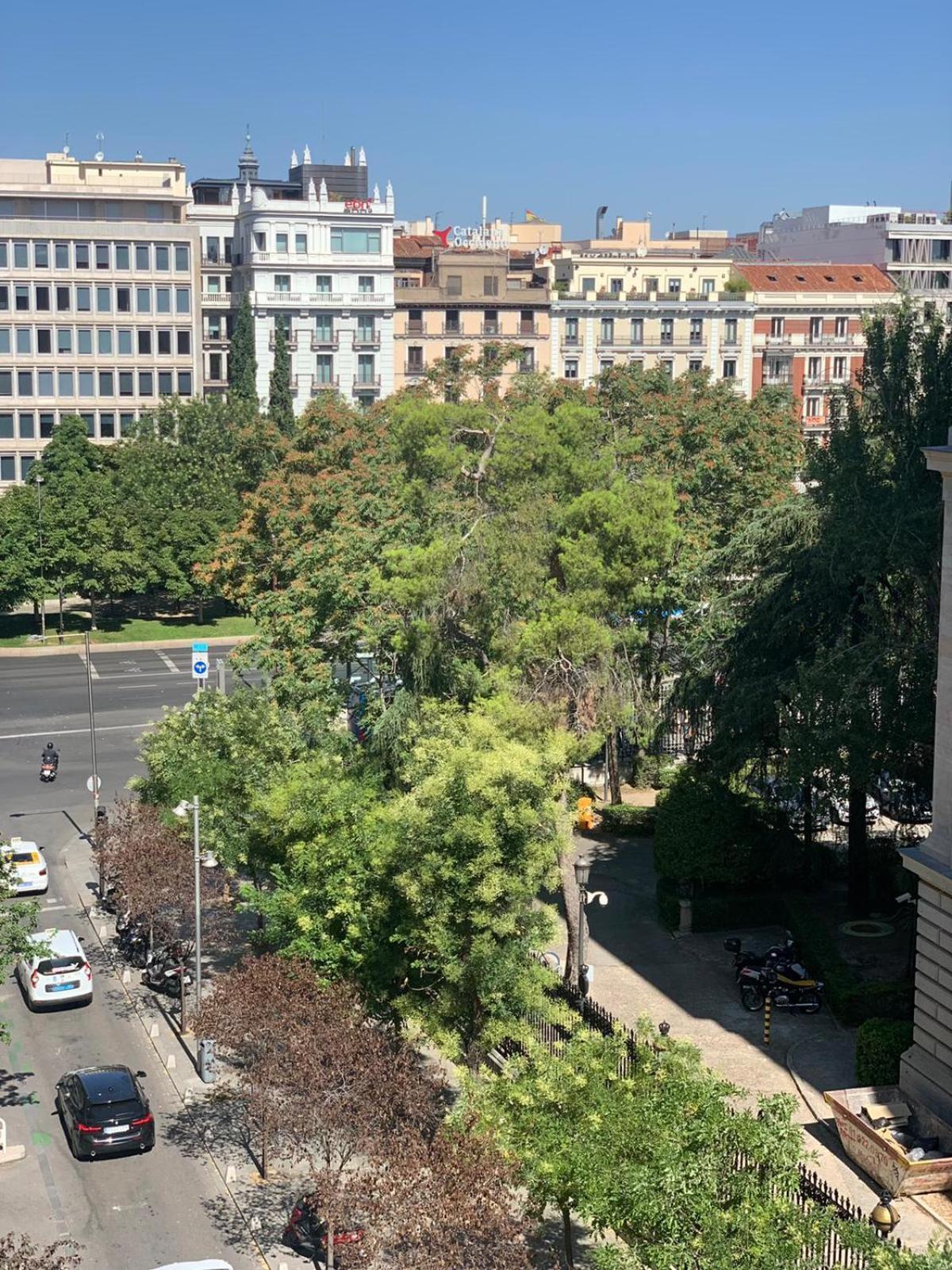 Apartamento Luxury Retiro Park & Prado Museum Madrid