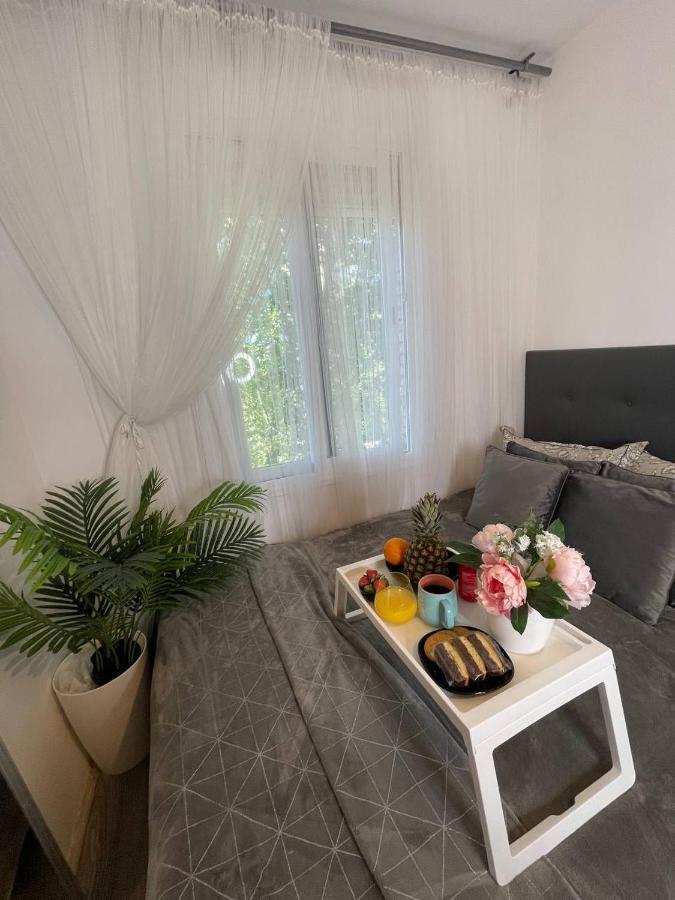 Luxury En Apartment