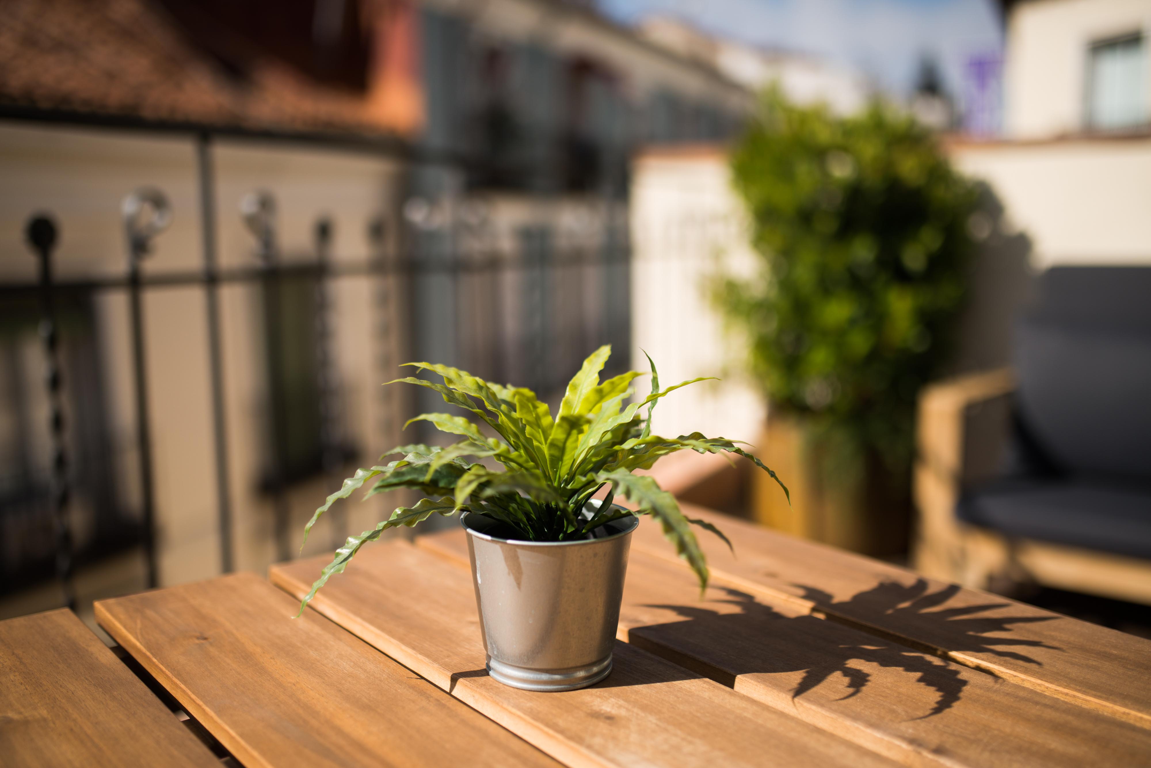 Apartment Cruz Madrid