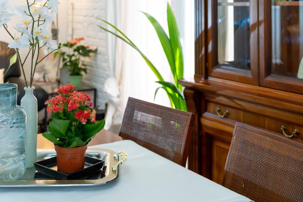 Modern And Neoclassical Flat Madrid