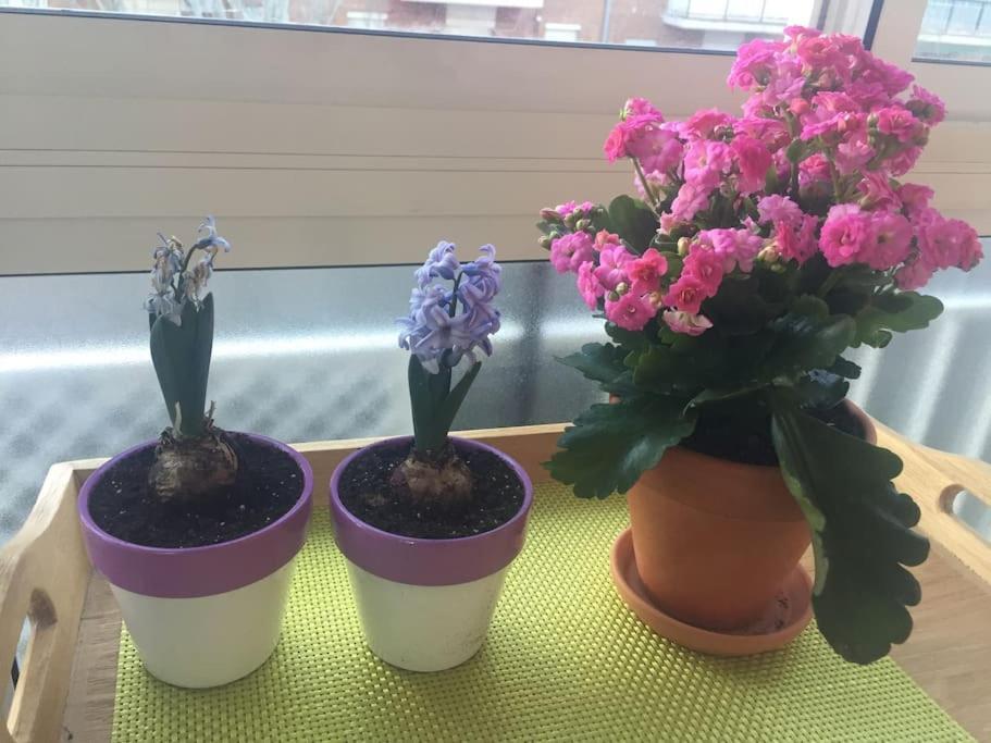 Apartamento Ciudad Lineal Reciente Reforma Madrid