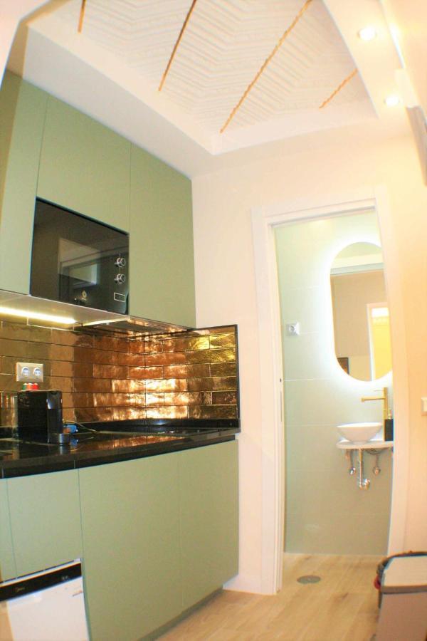 Lujoso Centrico 1 Appartement