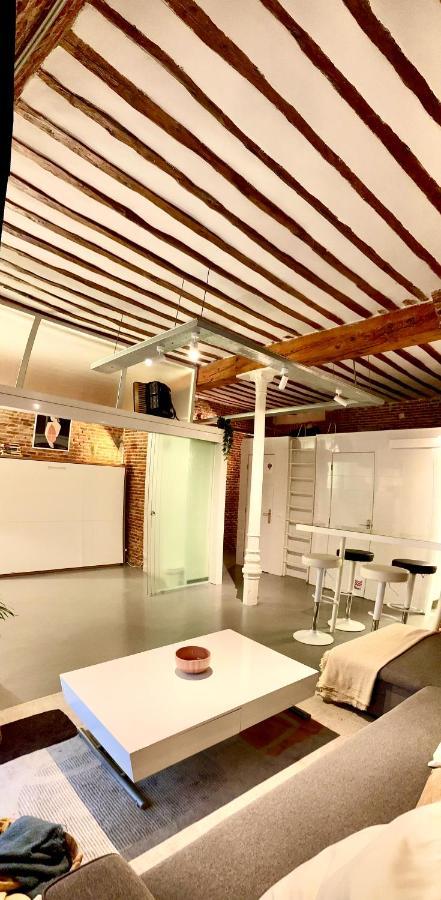 Calle Amparo100 Red Brick Loft For 8 Lavapies Apartment *
